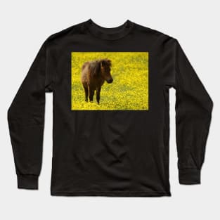 shetland pony in a meadow of butter cups Long Sleeve T-Shirt